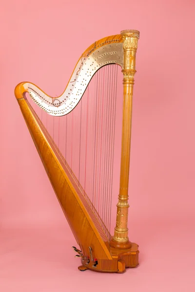 Bela harpa dourada — Fotografia de Stock