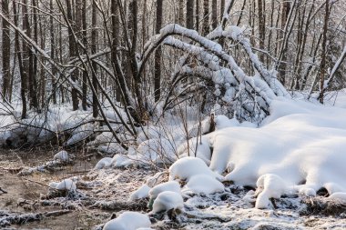 küçük nehir kıyısında