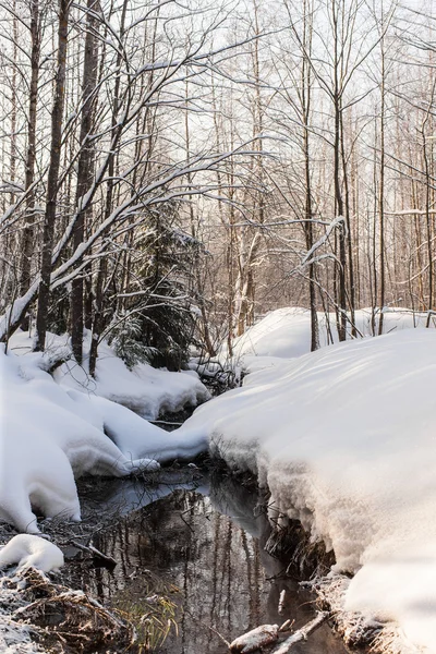 Kleiner Fluss im Wald — Stockfoto