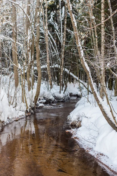 Pequeño río en invierno — Foto de Stock