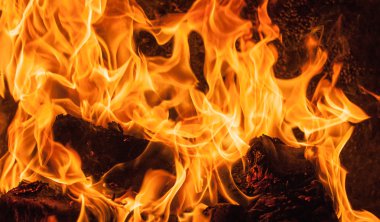 Yangın yakın çekim