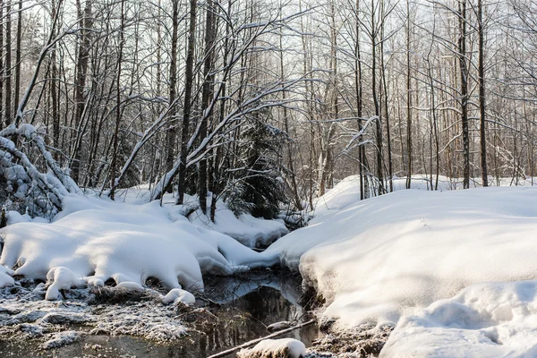 Coast of river in the winter — Stock Photo, Image