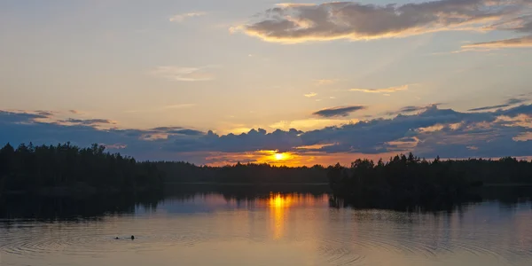 森林湖で夏の夕日 — ストック写真