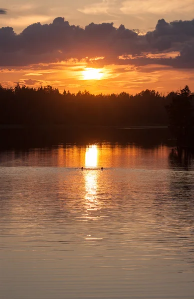 Paisaje en el lago del bosque —  Fotos de Stock