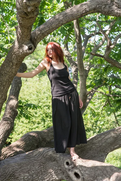 Menina em um galho de árvore — Fotografia de Stock
