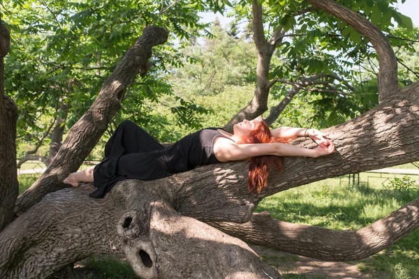 躺在树枝上的女孩 — 图库照片
