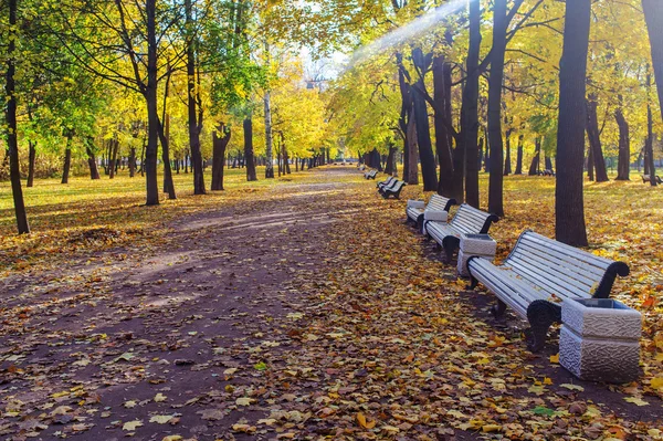 Haz de luz otoño —  Fotos de Stock