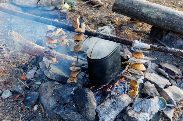 Camp touristique avec feu de joie — Photo