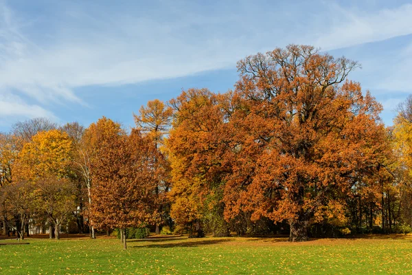 Podzimní park s listnatými stromy — Stock fotografie