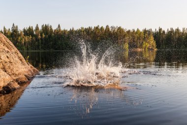 Su sıçramalarına orman göle