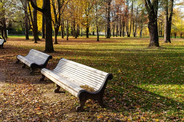 Landschaft mit Bänken — Stockfoto