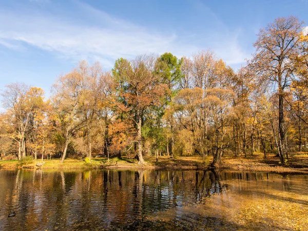 Paesaggio nel parco autunnale — Foto Stock