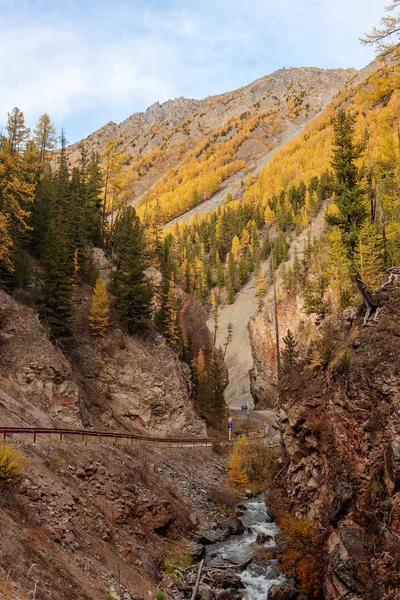 Traveling in the mountains — Stock Photo, Image