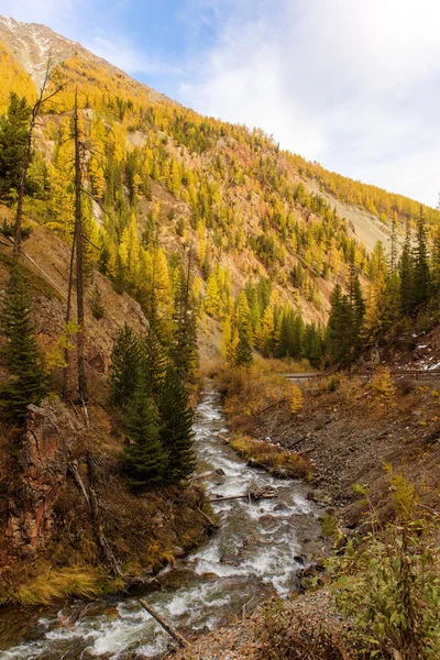 Montagne con un piccolo fiume — Foto Stock