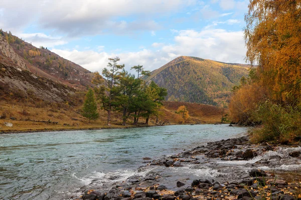 Bergrivier in de herfst — Stockfoto