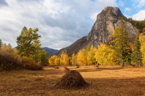 Sunny landscape in the mountains — Stock Photo, Image