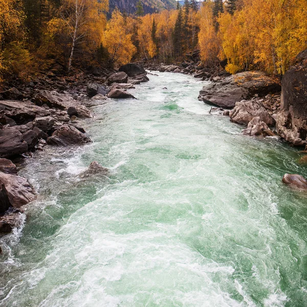 Rychlá horská řeka — Stock fotografie