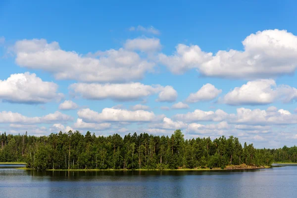 Зеленый остров на озере — стоковое фото