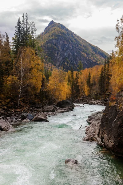 Peisaj cu râu rapid — Fotografie, imagine de stoc