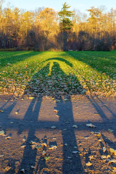 Tarde de otoño en el parque —  Fotos de Stock