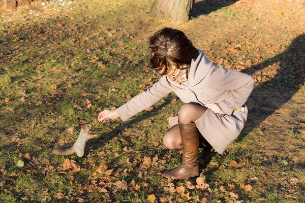 Menina alimentando esquilo no parque — Fotografia de Stock