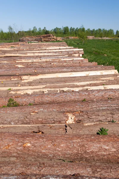 Bouwplaats voor een houten huis — Stockfoto