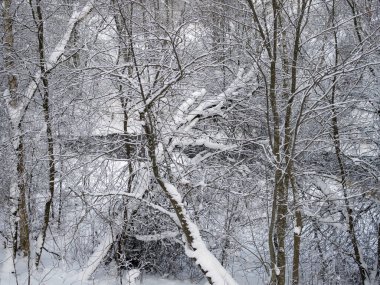 Soğuk bir kış gününde küçük bir nehir.