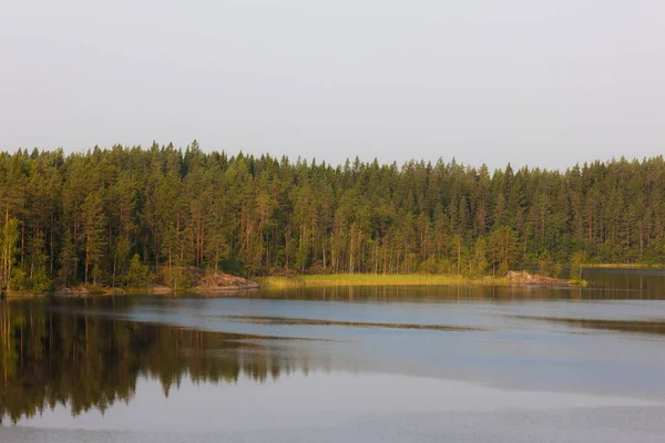 Пейзаж Лесном Озере Летний День — стоковое фото