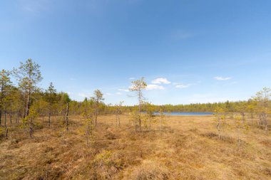 Küçük bir gölü ve ormandaki bataklığı olan bir yer.