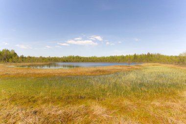 Küçük bir gölü ve ormandaki bataklığı olan bir yer.