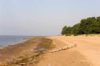 Deniz kenarında sahili olan bir manzara.