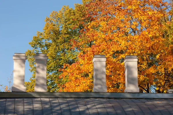 Evin Çatısında Sonbahar Yaprakları — Stok fotoğraf