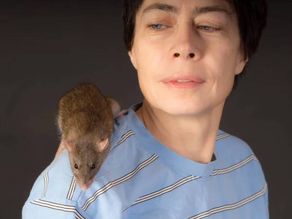 Studio Portrait Woman Brown Domestic Rat — Stockfoto