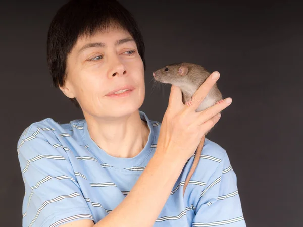 Studio Portrait Woman Brown Domestic Rat — Stock Photo, Image