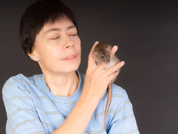 Studio Portrait Woman Brown Domestic Rat — Stock Photo, Image