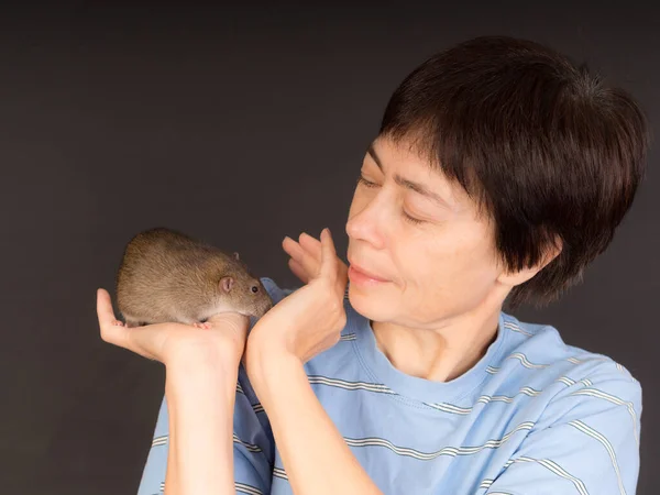 Portrait Woman Brown Domestic Rat Hand —  Fotos de Stock