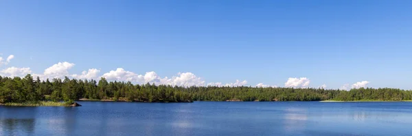 Панорама Лесного Озера Летом — стоковое фото