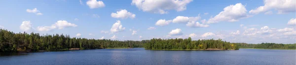 Panorama Leśnego Jeziora Lecie — Zdjęcie stockowe