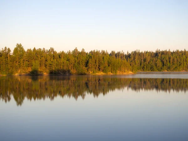 Paesaggio Mattutino Con Riflessi Lago Boschivo — Foto Stock