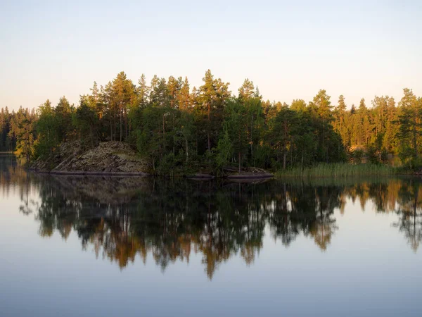 Morgonlandskap Med Reflektioner Skogssjö — Stockfoto
