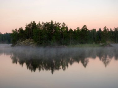 Orman gölünde sabah sisi olan yaz manzarası