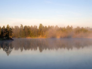 Orman gölünde sabah sisi olan yaz manzarası