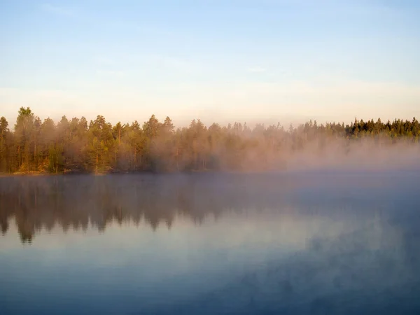 Paisaje Verano Con Niebla Matutina Lago Forestal — Foto de Stock