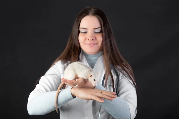 Mulher Segurando Rato Estimação Branco Seus Braços — Fotografia de Stock