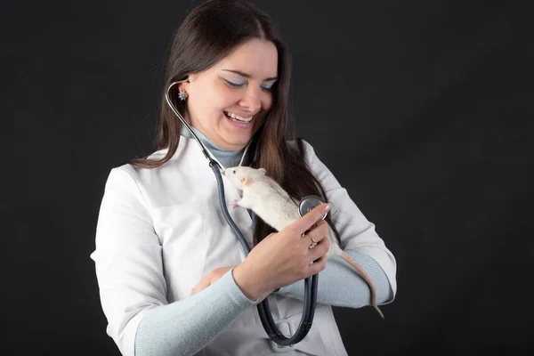 Ärztin Mit Stethoskop Auskultate Haustierratte — Stockfoto