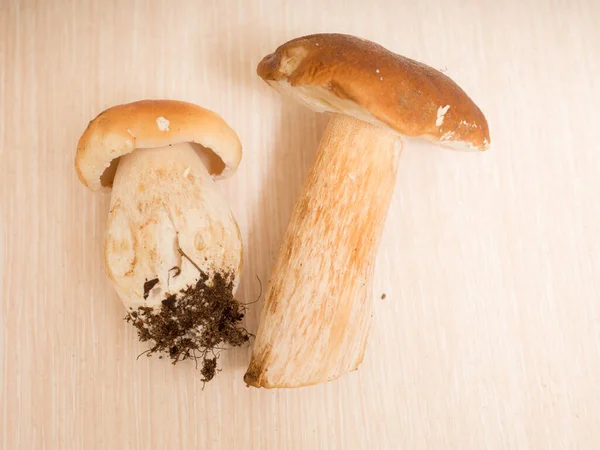 Due Funghi Porcini Tavola Vicino — Foto Stock