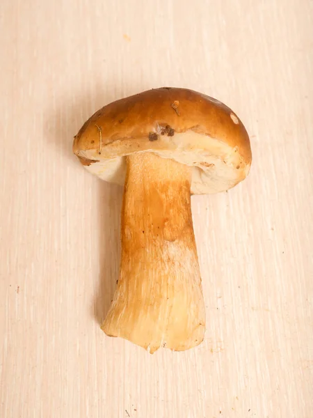 桌上的蘑菇香菇收尾 — 图库照片