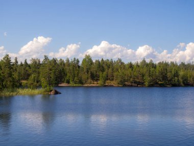 Orman gölünde bulutlu yaz manzarası