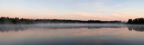 Панорама Леса Утренним Туманом — стоковое фото