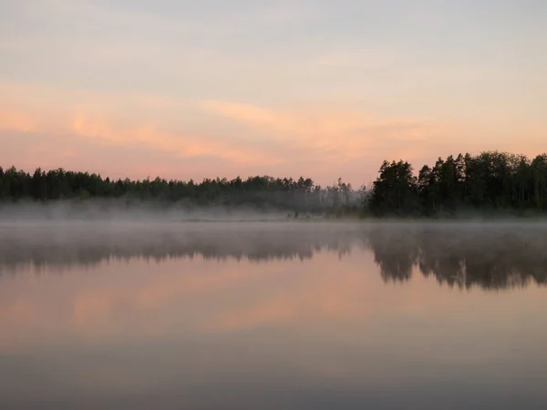 Καλοκαιρινό Τοπίο Πρωινή Ομίχλη Δασική Λίμνη — Φωτογραφία Αρχείου